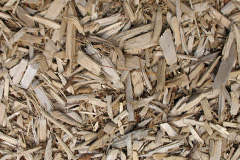 biomass boilers Balhalgardy